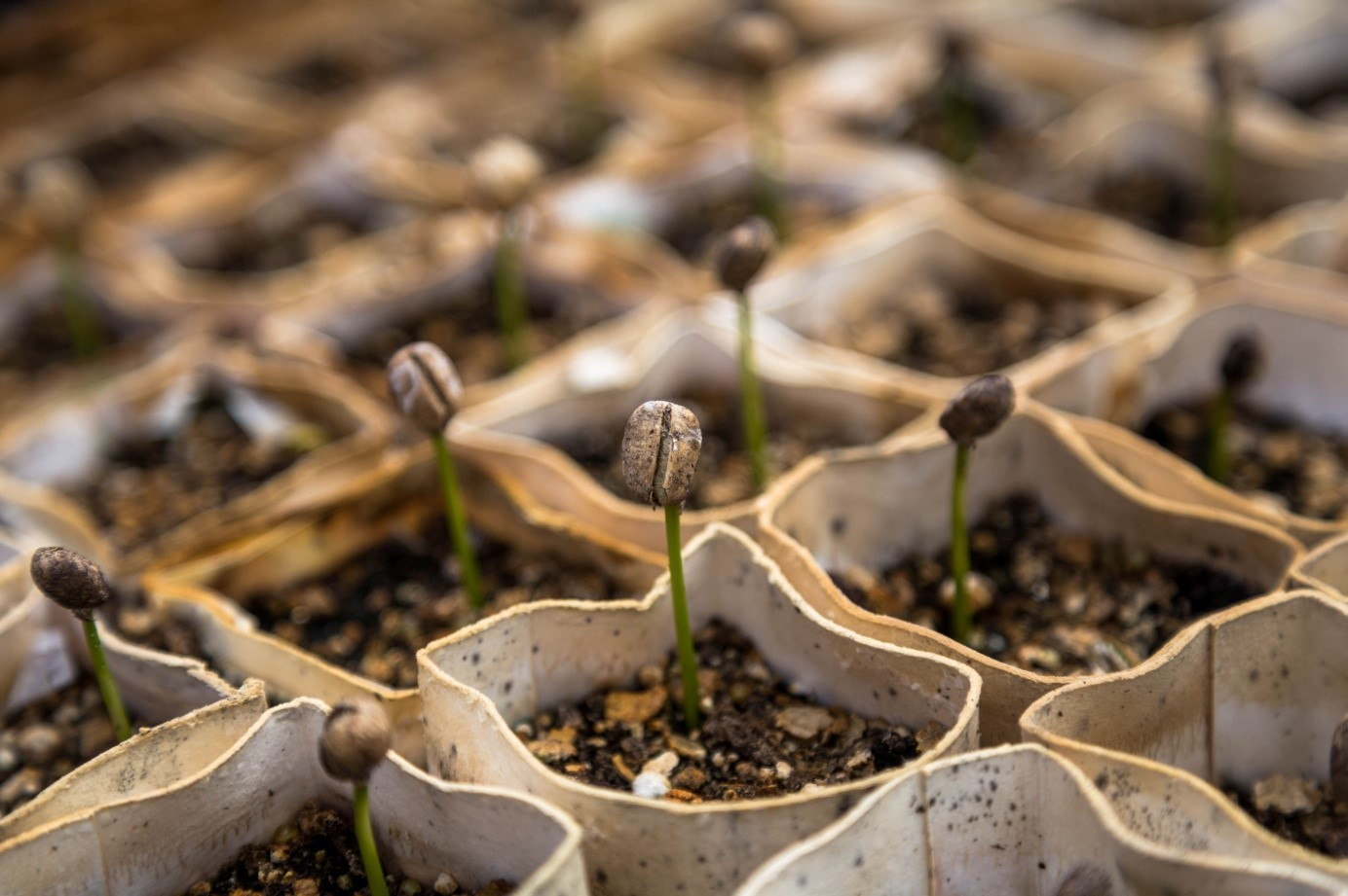 Nature based Entrepreneurship