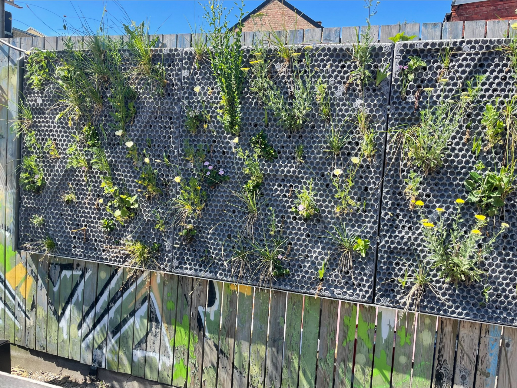 Nature for Innovative and Inclusive Urban Regeneration