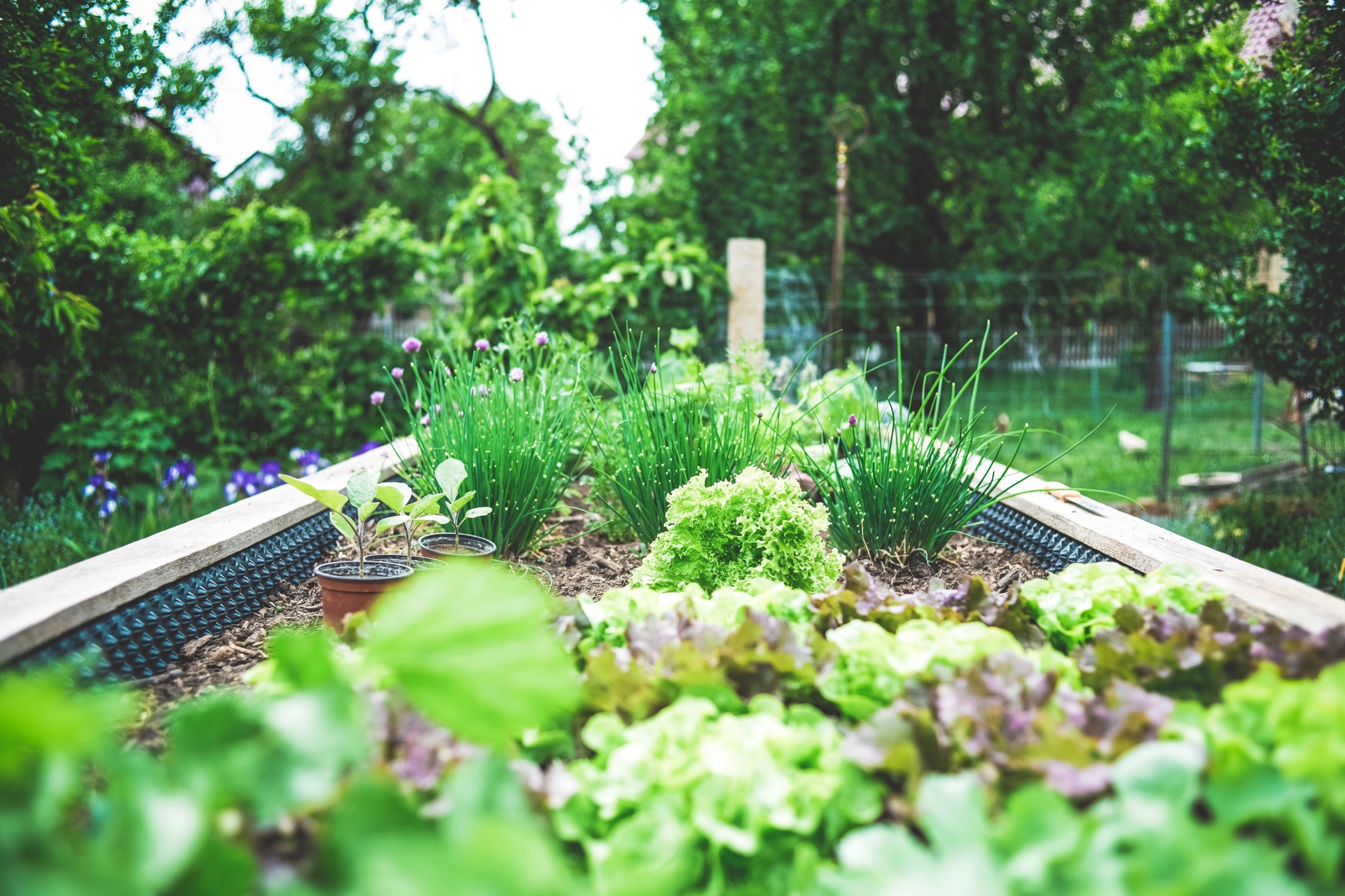 Gearing up for Nature in the City — Advancing Social Impact through Nature-based Solutions