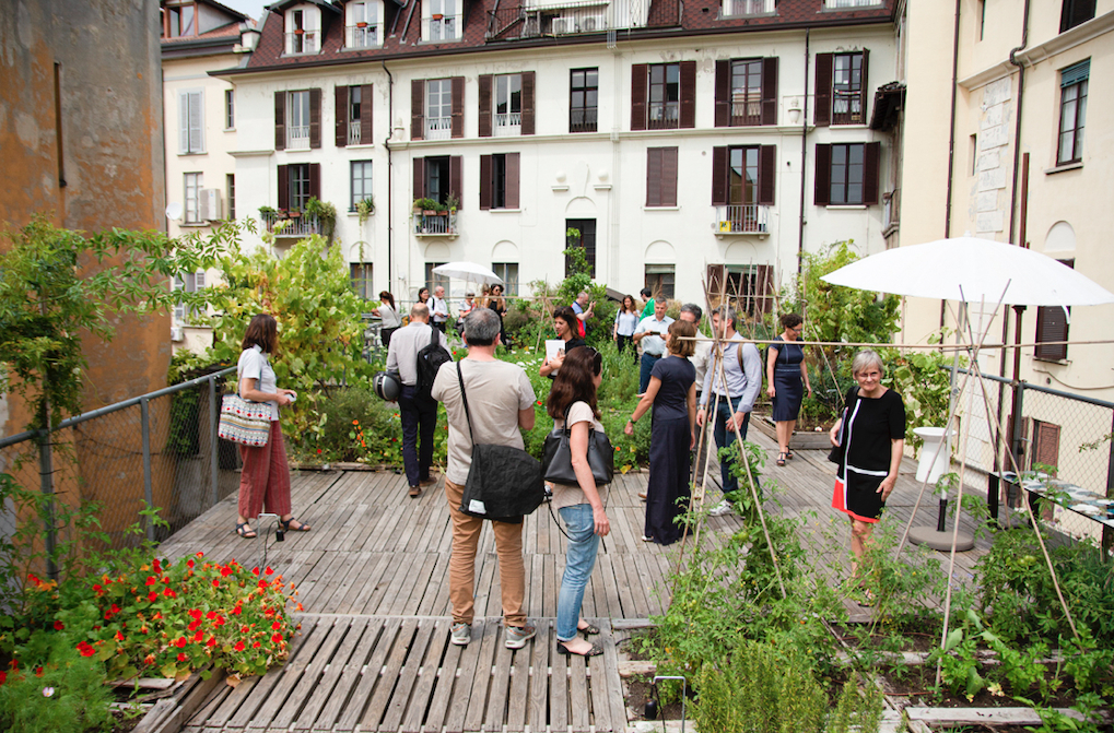 Milan's co-design pathway to spread green roofs and walls throughout the city